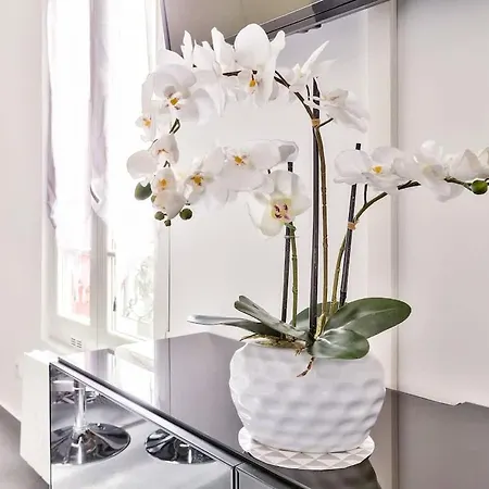 Apartman The Pearl